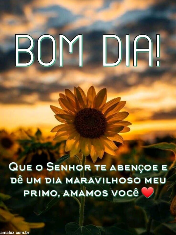 Bom dia que o Senhor te abençoe e dê um dia maravilhoso