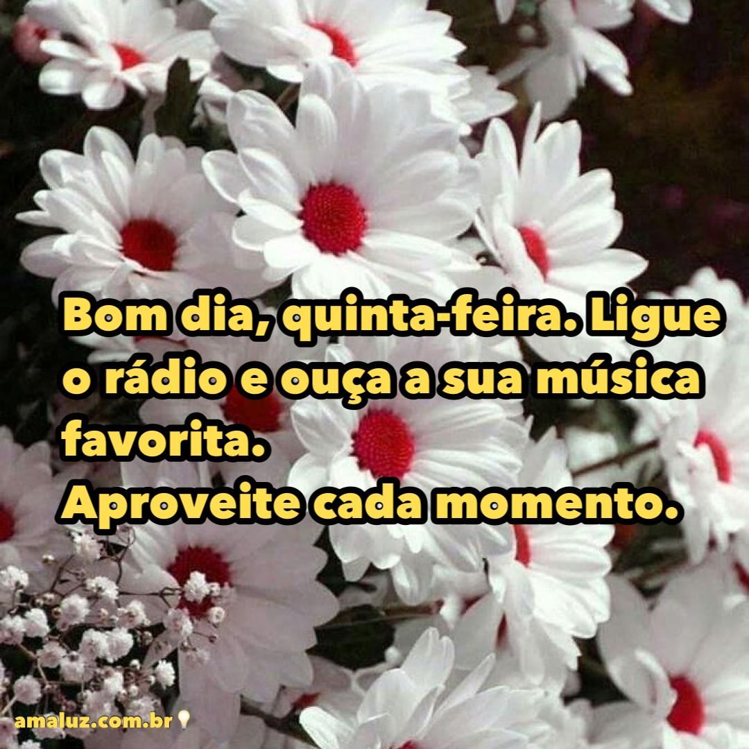 Bom dia quinta feira levante e faça aquilo quemais gosta e que te faz feliz