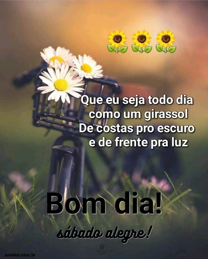 Bom dia seja como um girassol