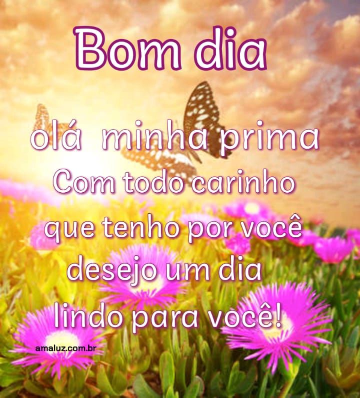 Bom dia tenho muito carinho por você