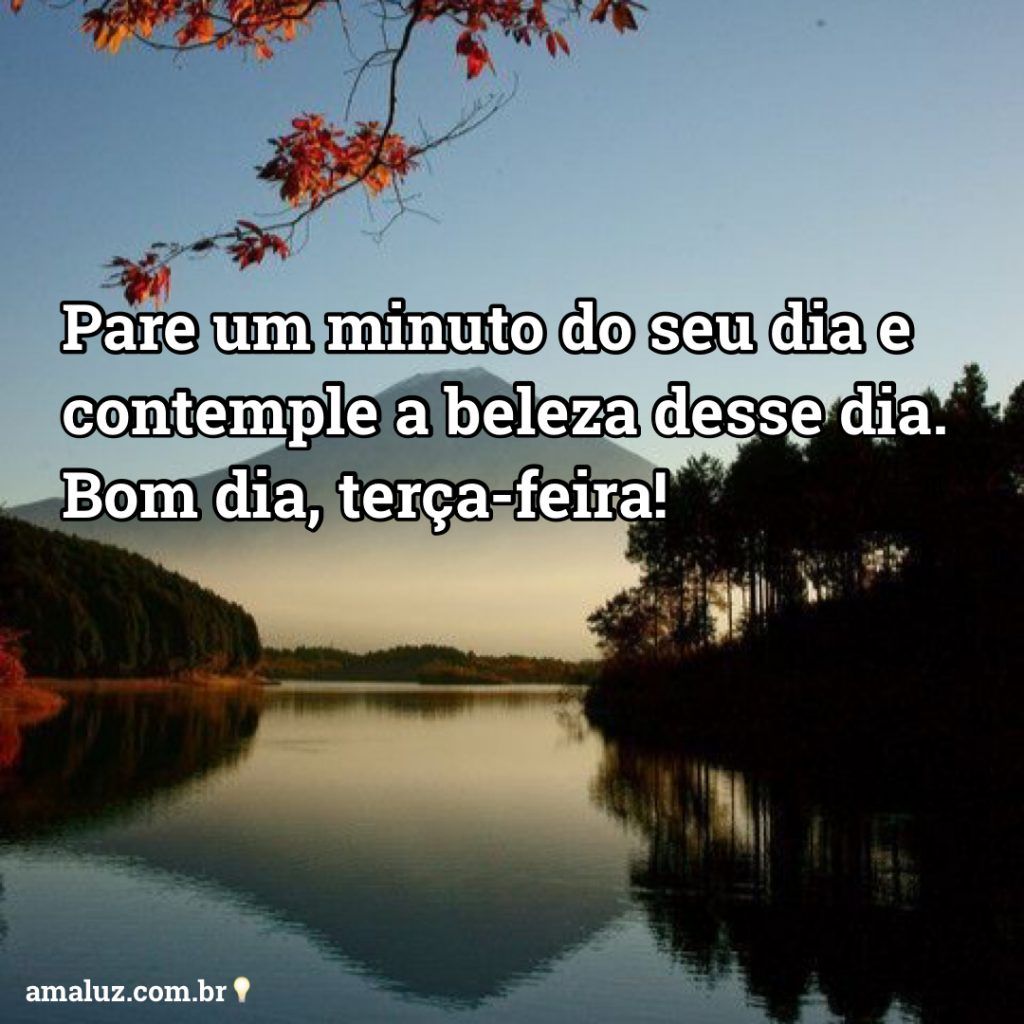 Bom dia terça feira! Pare um minuto do seu dia e contemple a beleza desse dia