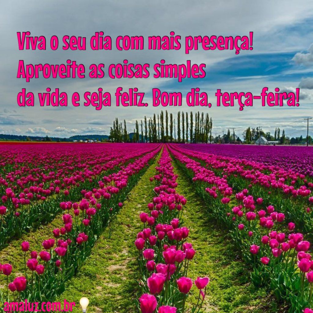 Bom dia terça feira! Viva o seu dia com mais esperança, aproveite as coisas simples da vida e seja feliz.