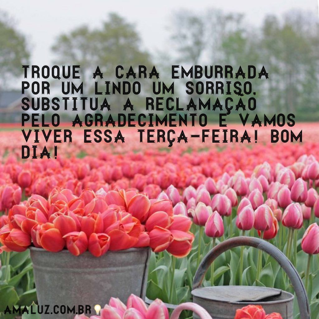 Bom dia terça feira com amor e alegria para uma manhã feliz