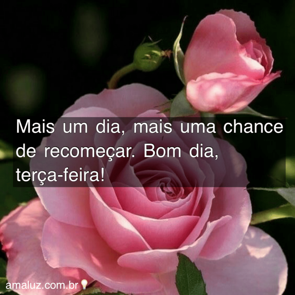 Bom dia terça feora com amor e carinho para você que é tão especial