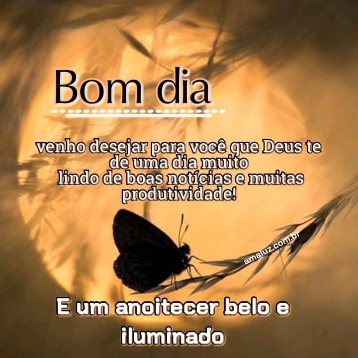 Bom dia venho desejar a você que Deus te dê um ótimo dia