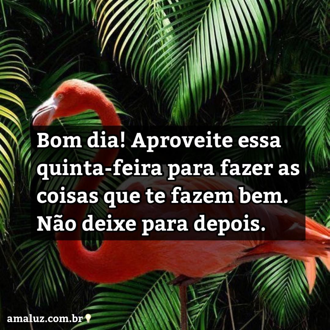 Bomdia quinta feira! Aproveite o dia para fazer coisas boas que te faz feliz.