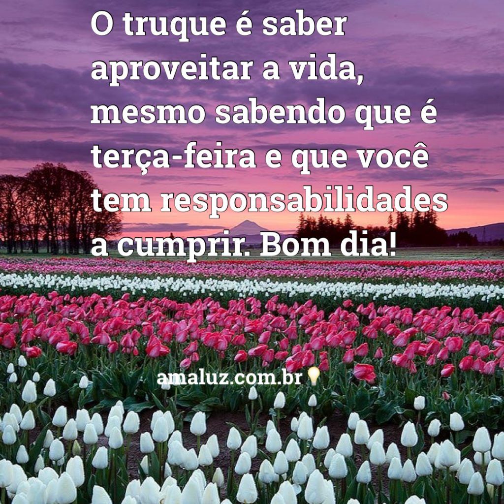 Bom dia terça feira! Pare um minuto do seu dia e contemple a beleza desse dia