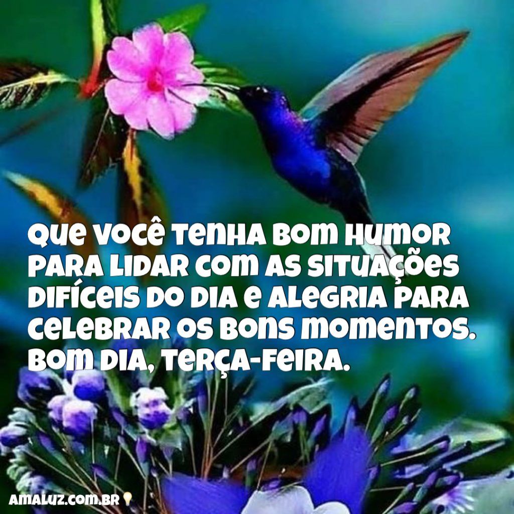 Feliz terça feira com alçegria e muito amor no coração