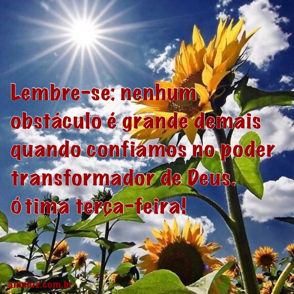 Tenha uma linda e maravilhosa terça feira abençoada por Deus