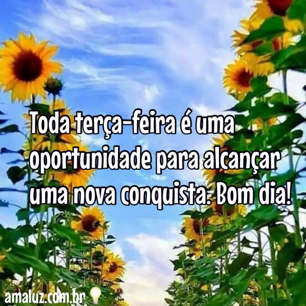 Toda terça feira é uma oportunidades para alcançar uma nova conquista