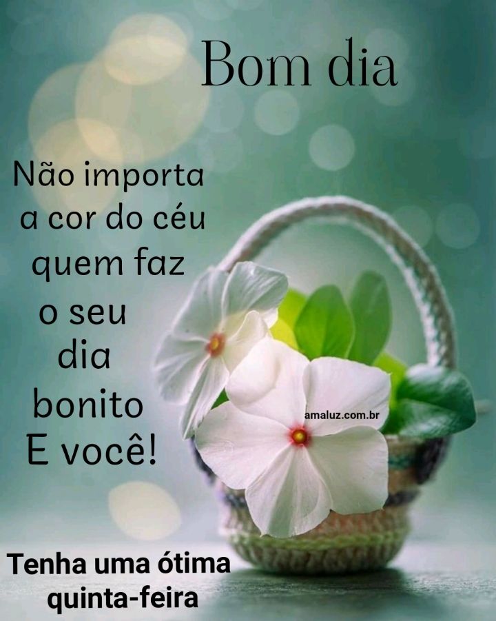 Você faz seu dia mas bonito bom dia
