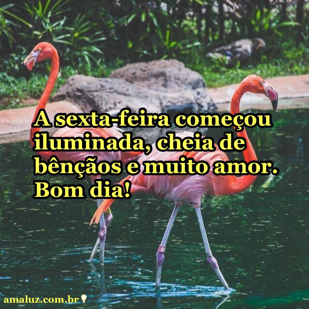 a sexta feira começou iluminada bom dia