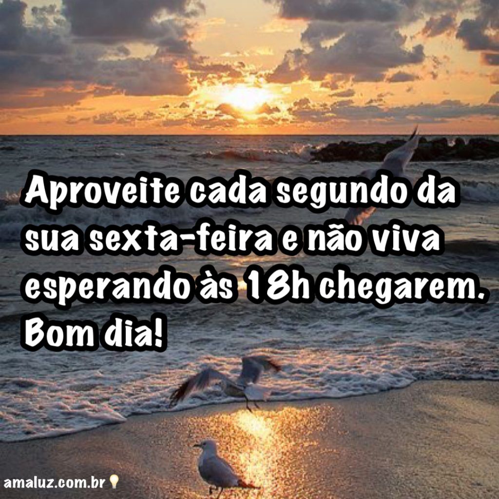 aproveite cada segundo de sua sexta feira bom dia