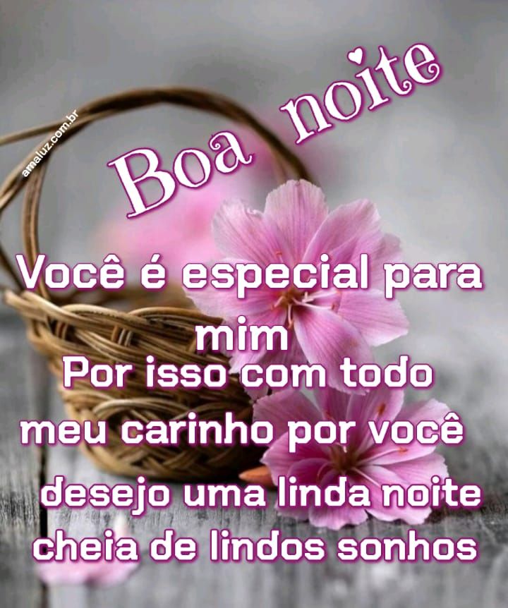 boa noite com carinho desejo uma linda noite.