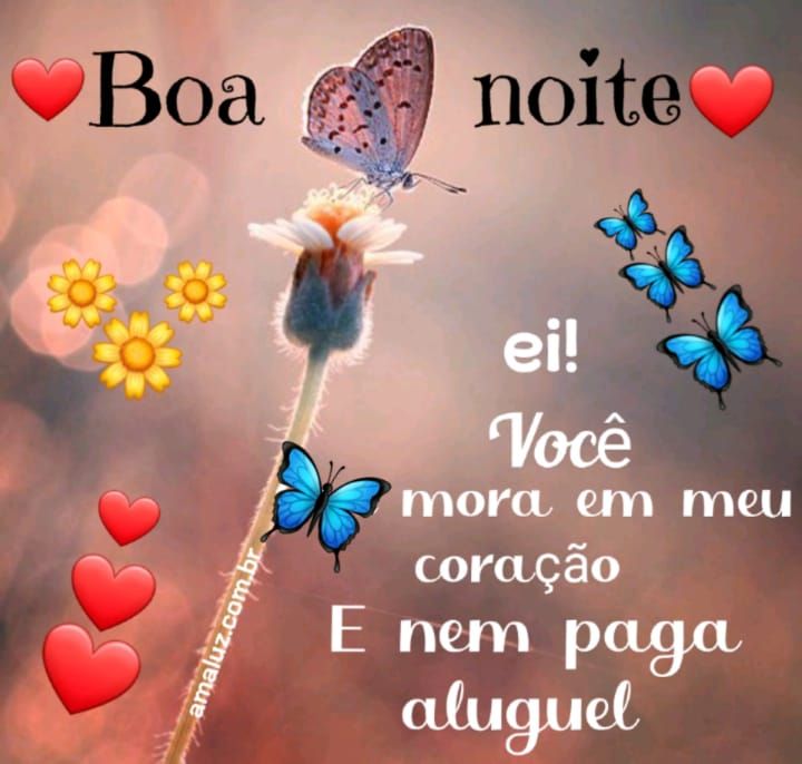 boa noite com carinho você mora em meu coração.