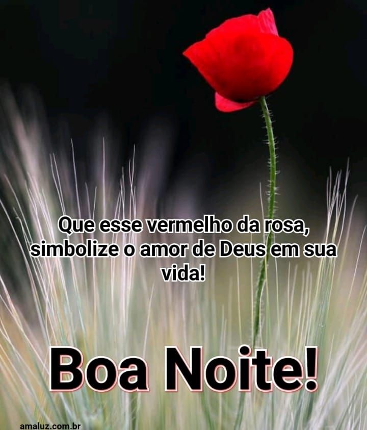 boa noite com o amor de Deus em sua vida