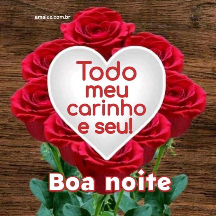 boa noite com todo o meu carinho.