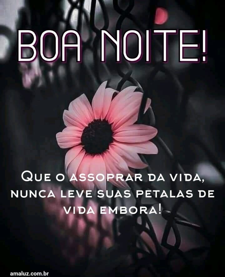 boa noite com um recado