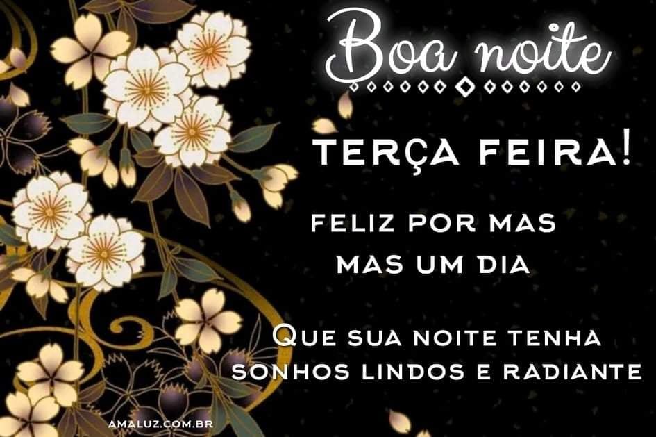 boa noite feliz terça feira com carinho