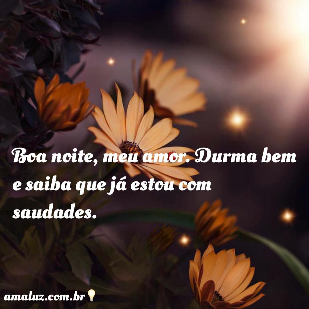 boa noite meu amor durma bem