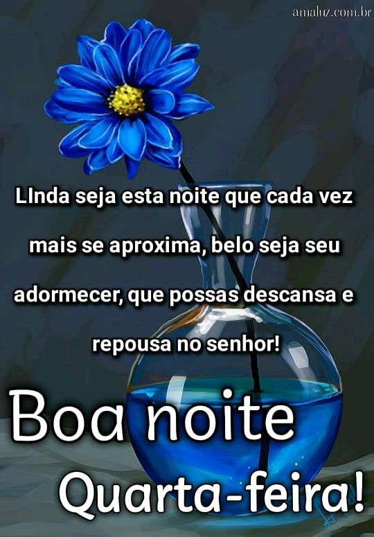 35 Frases de Boa noite Quarta-feira com Carinho e Flores