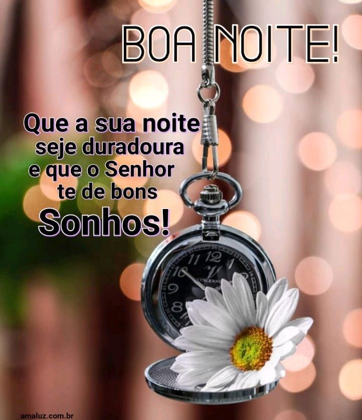 boa noite que deus te der bons sonhos