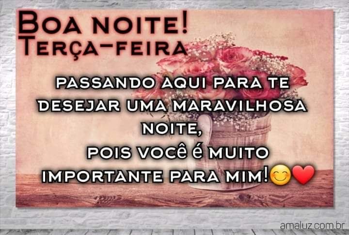 boa noite terça feira com carinho