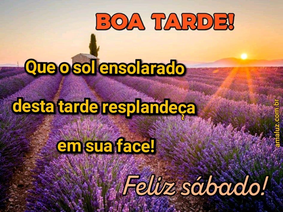 boa tarde de sábado whatsapp