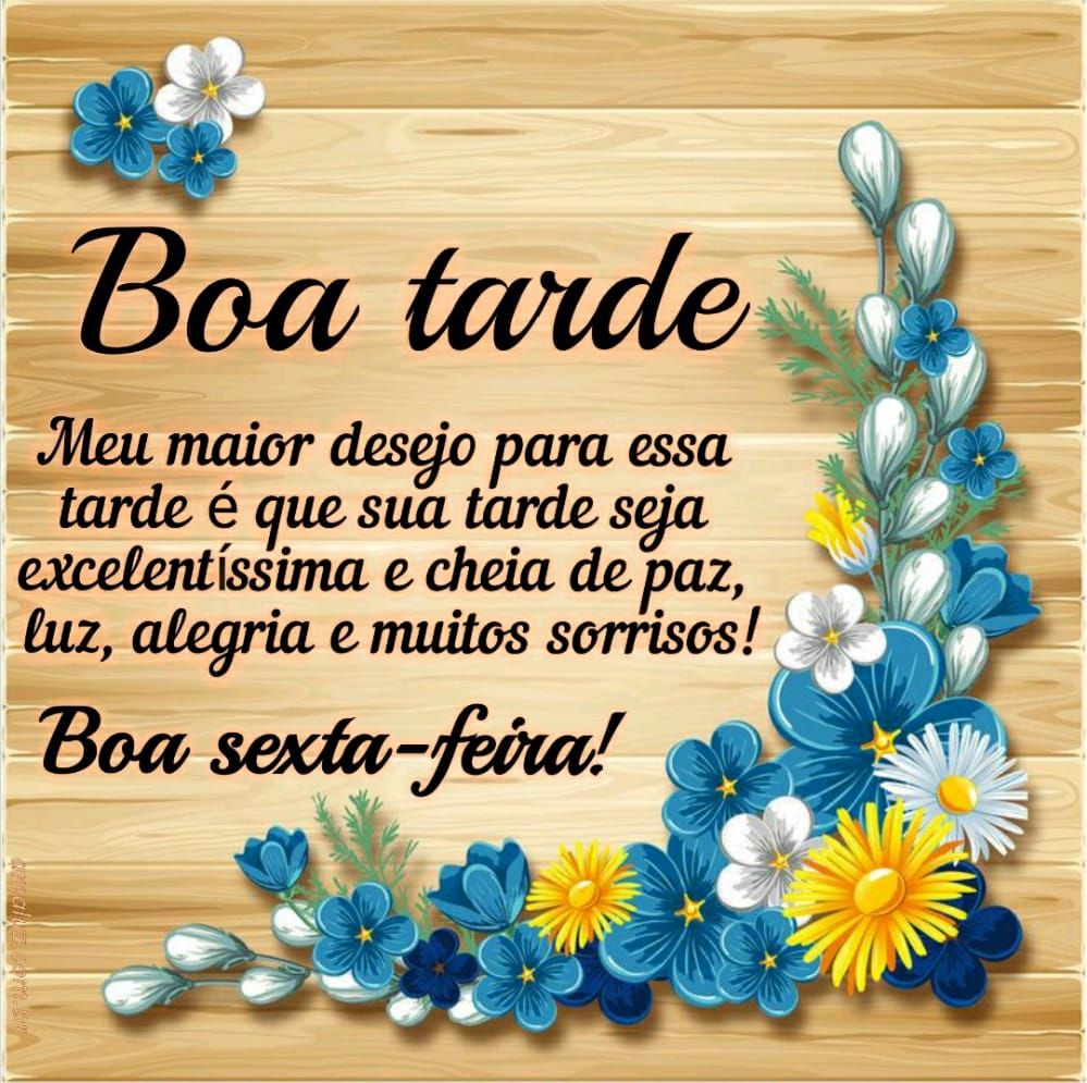 boa tarde excelentíssima e boa sexta feira