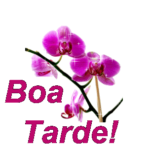 boa tarde gif para whatsapp