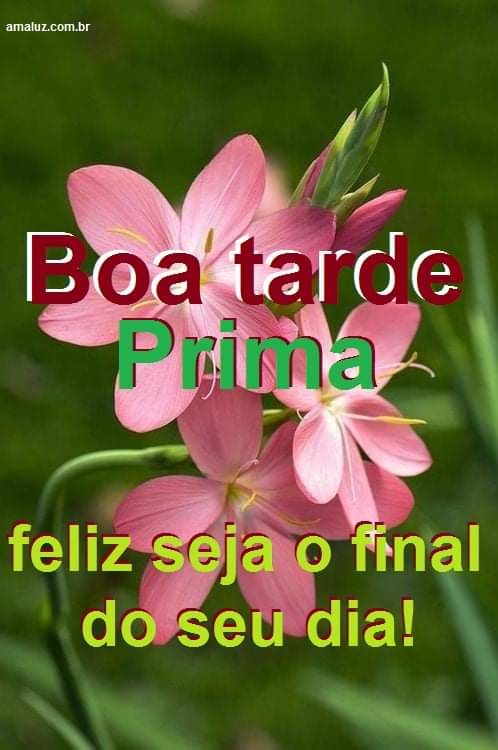 boa tarde prima amada