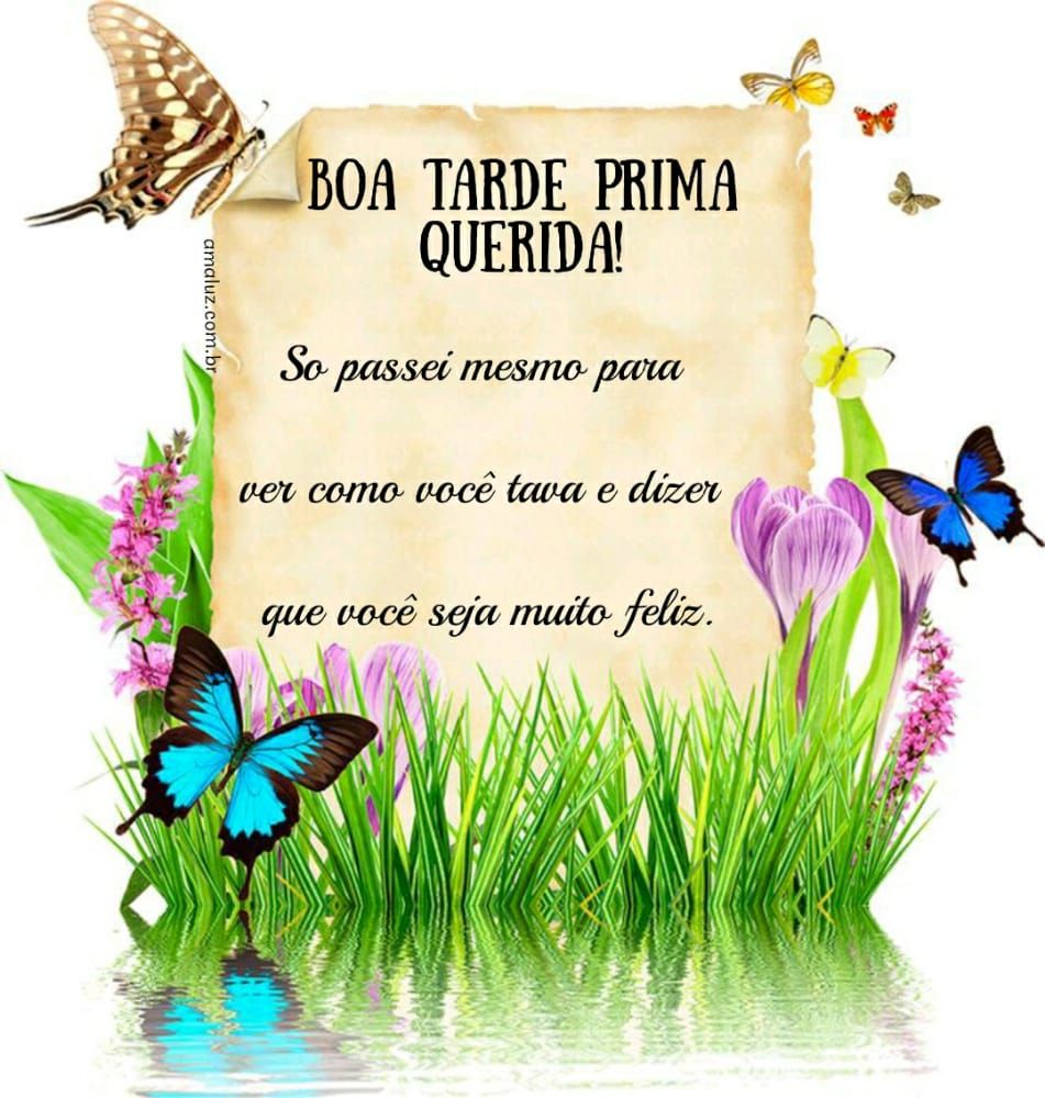 boa tarde prima querida tenha uma tarde feliz