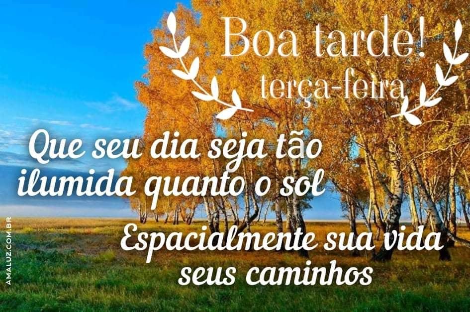 boa tarde terça feira com carinho