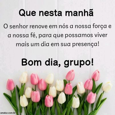 bom dia imagem para whatsapp