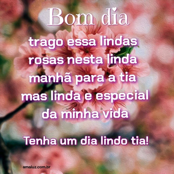 bom dia lindas rosas nesta linda manhã.