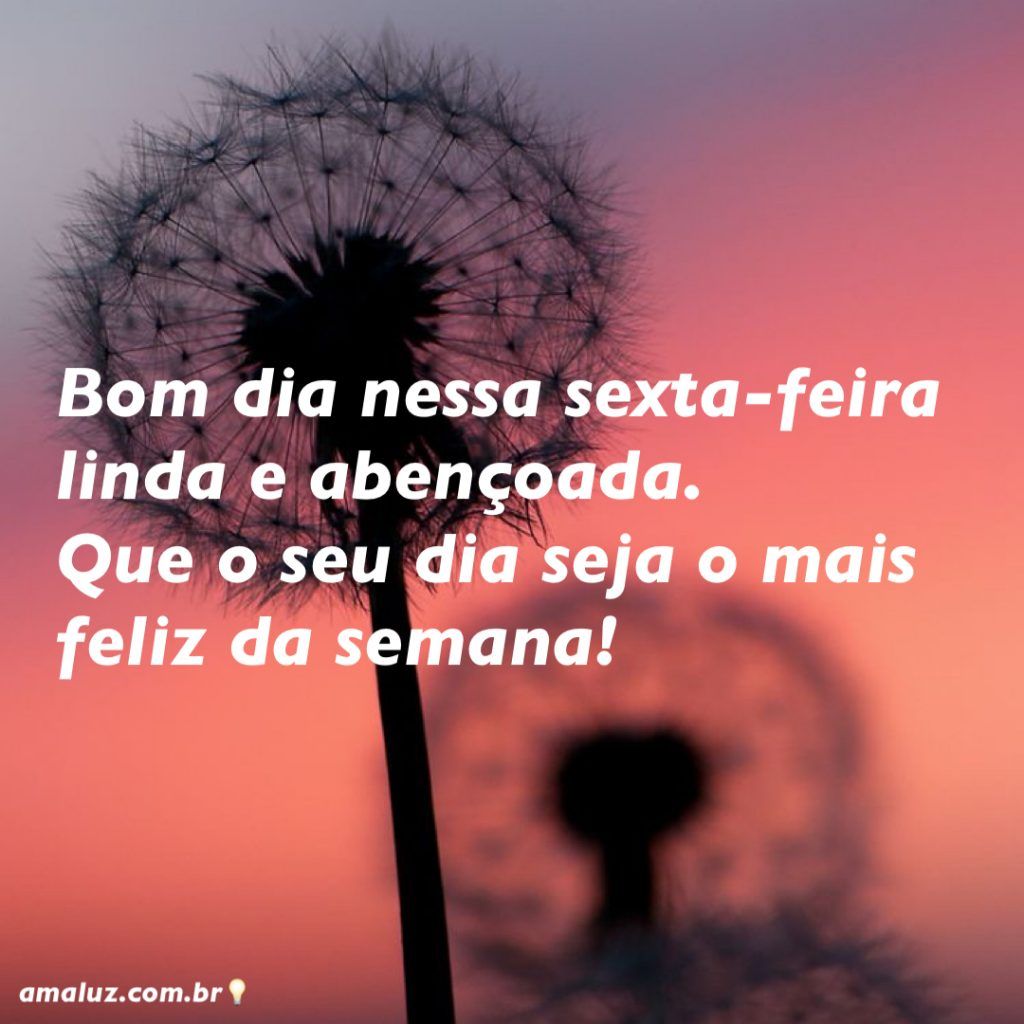 bom dia nessa sexta feira linda e abençoda