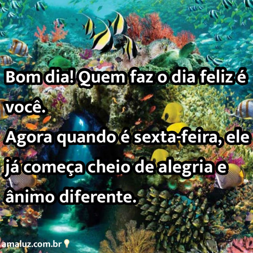 bom dia que essa sexta feira começe cheia de alegria