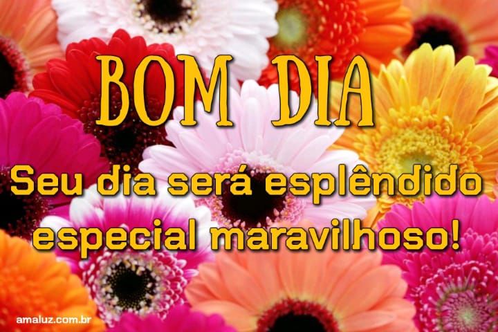 bom dia, seu dia sera esplêndido.