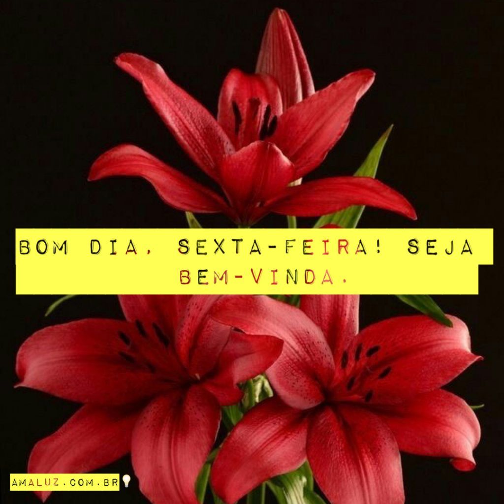bom dia sexta feira seja muito bem vinda