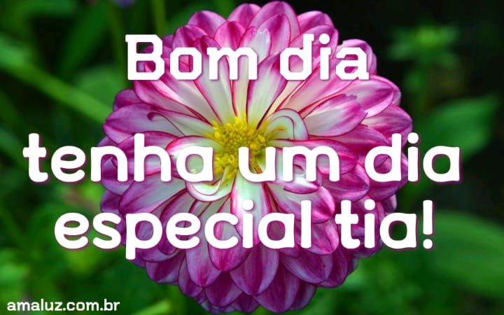 bom dia tenha um dia especial tia.
