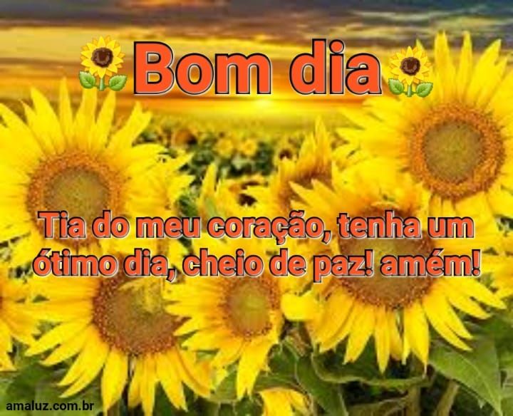 bom dia tia do meu coração.