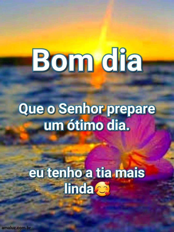 bom dia tia mais linda.