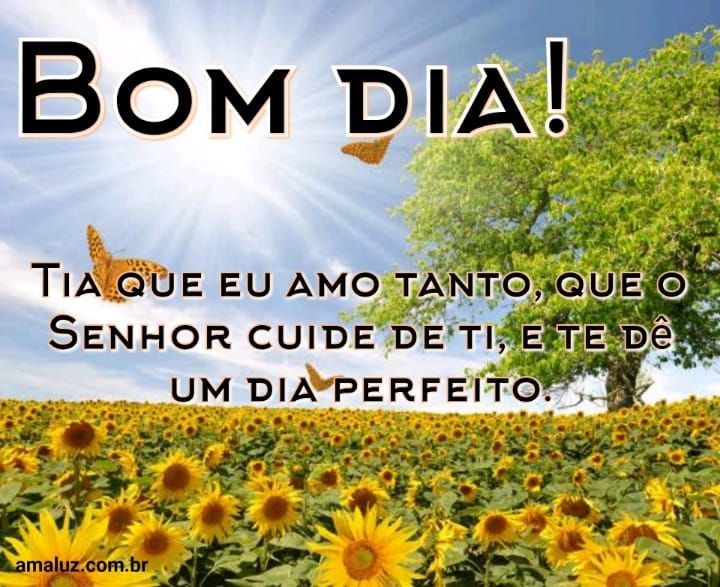 bom dia tia que eu amo tanto.