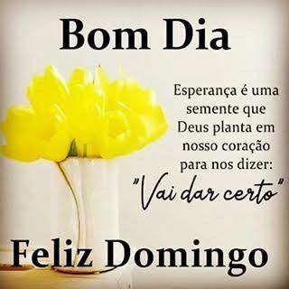bom dia vai da certo feliz domingo