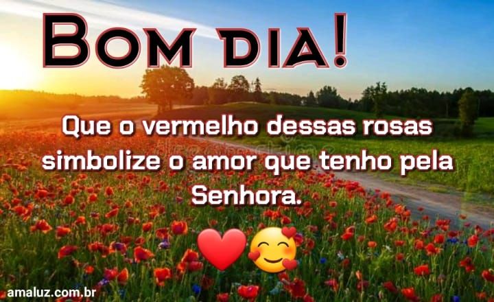 Bom dia que o vermelho das rosas simbolize o amor q tenho pelo senhora.
