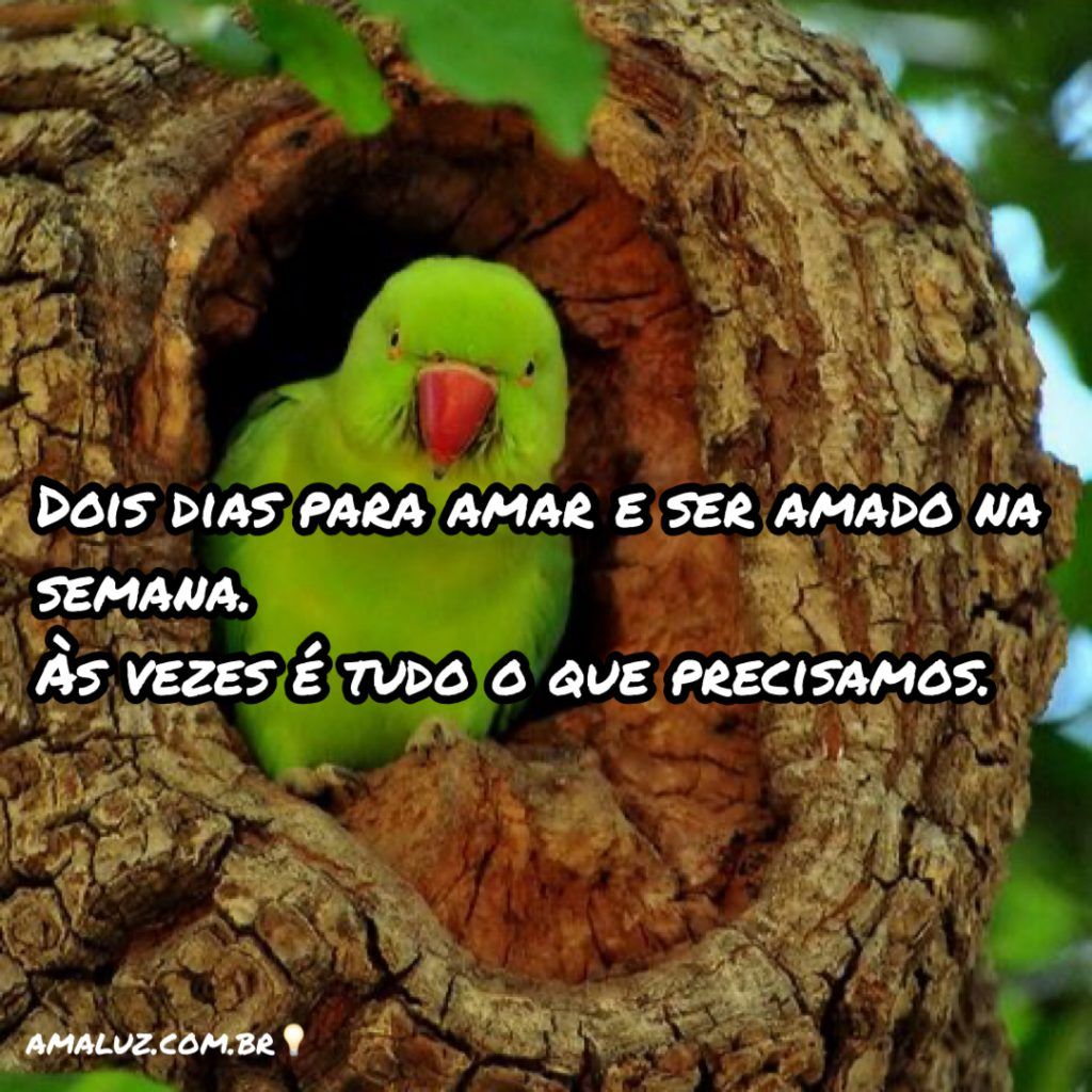 dois dias para amar e ser amado