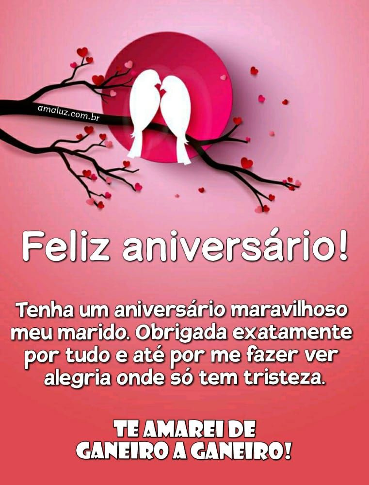 feliz aniversario te amarei de janeiro a janeiro