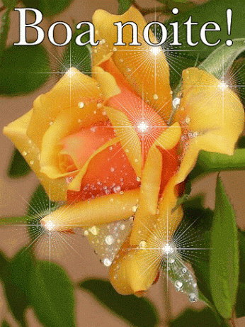 gifs de boa noite com flor