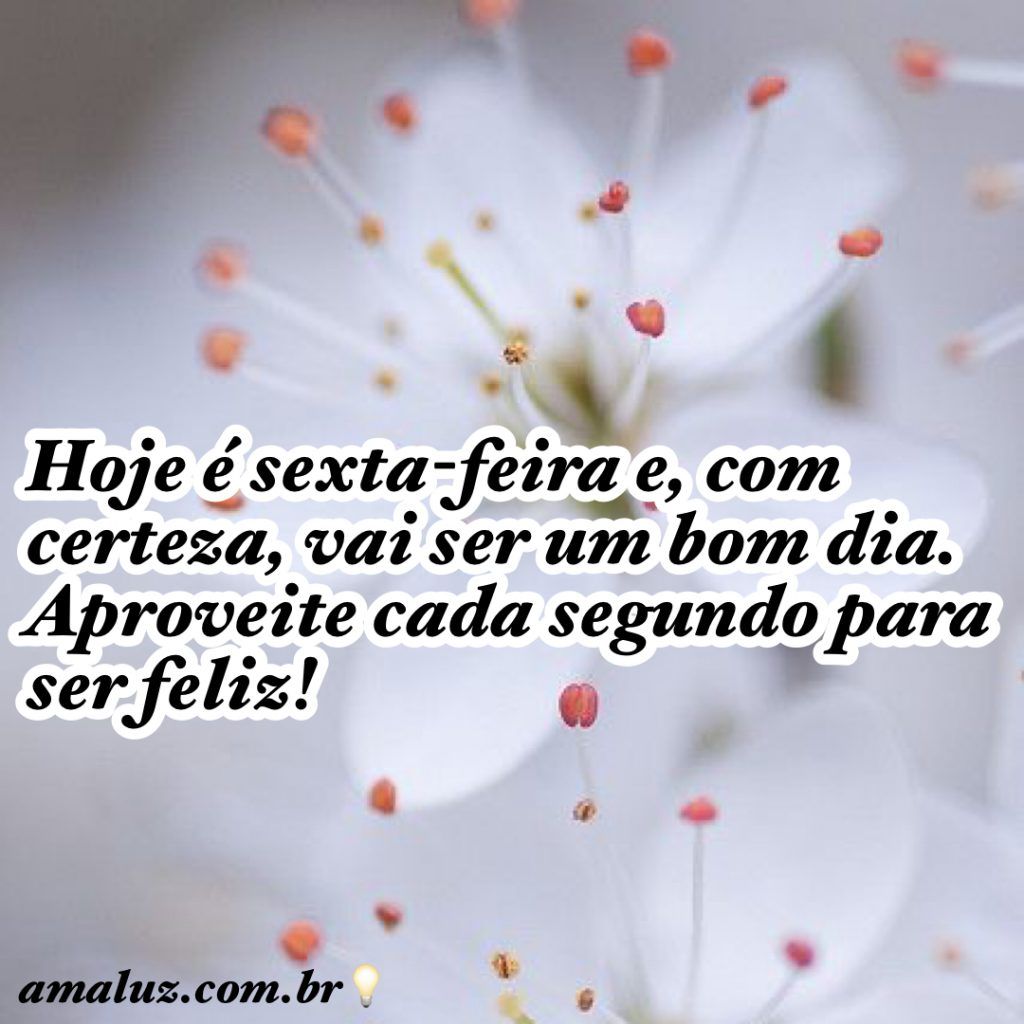 hoje é sexta feira e com certeza será um bom dia