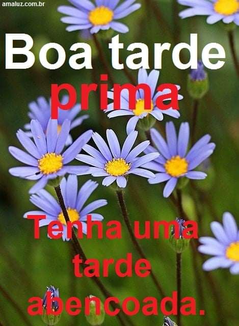 imagem de boa tarde para prima amada